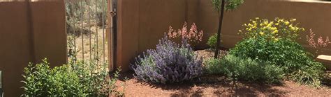 Plants For Western Gardens Drought Resistant Plants High Country