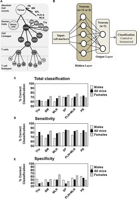 Frontiers Multidimensional Analysis Integrating Human T Cell