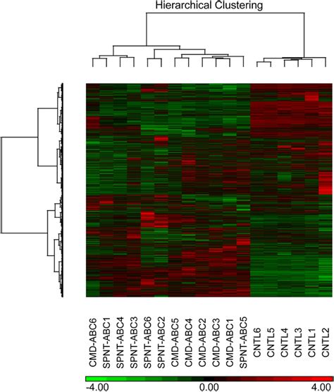 Hierarchical Cluster Analysis HCA Comparing Normalized Global Gene