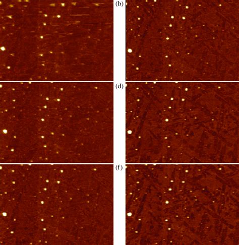 Time Dependent Morphologies Of MC 14 3 Molecules At The Aqueous Liquid