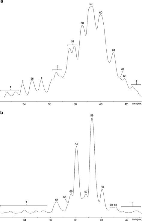 Base Peak Chromatograms Bpcs Analysed With The Microtof Q Ii A Download Scientific Diagram