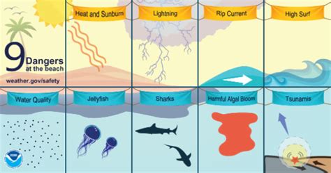 Beach And Marine Hazards Emergency Management