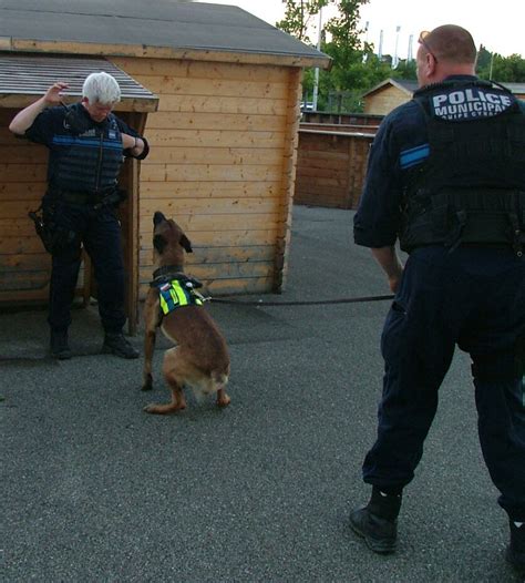 Rillieux La Pape sécurité La brigade canine de la police municipale