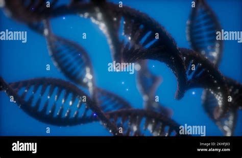 structure of the DNA double helix animation Stock Video Footage - Alamy