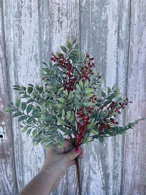 Berry Stem With Snow Kelea S Florals