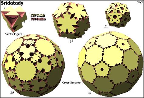 Small Retroinverted Ditetrahedronary Dishecatonicosachoron Polytope Wiki