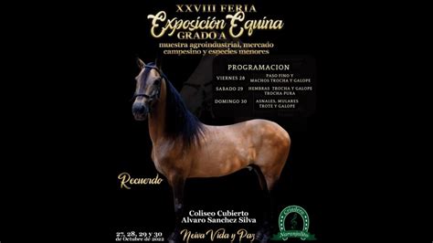 XXVIII EXPOSICIÓN EQUINA GRADO A NEIVA HUILA 2022 DIA 2 TROCHA