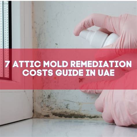 Attic Mold Remediation Costs Guide In Uae