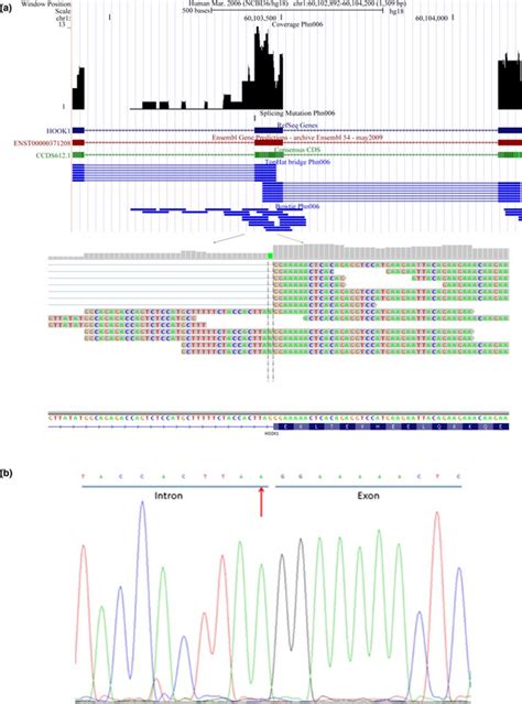 Rna Seq Read Coverage Of Hook Nm In Ph Rna Seq Showed