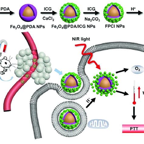 Pdf Recent Advances Of Calcium Carbonate Nanoparticles For Biomedical