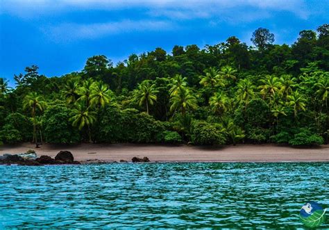 Cano Island Biological Reserve