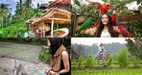 Jalan Jalan Di Ubud 1 Hari Itinerary Favorit Wisatawan Wira Tour