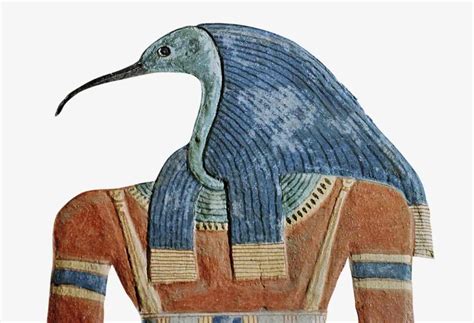 Sacred birds of ancient Egypt