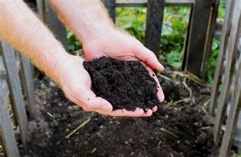 The Ultimate Guide To Composting What To Compost Advantages And How