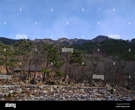 Mountain Forest In South Korea Seoraksan National Park Stock Photo Alamy