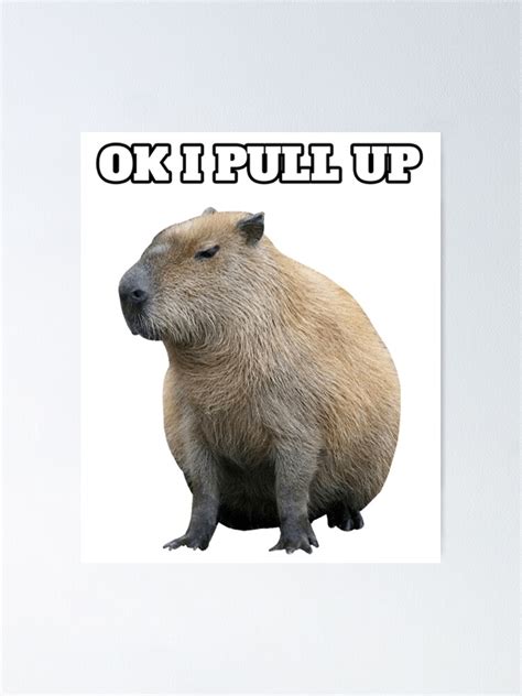 Meme Ok I Pull Up Capybara Funny Capybara Poster For Sale By Jamauds