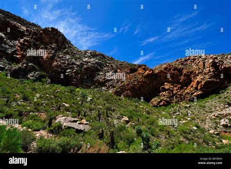 Red Sandstones Of The Cape Fold Belt South Africa Stock Photo Alamy