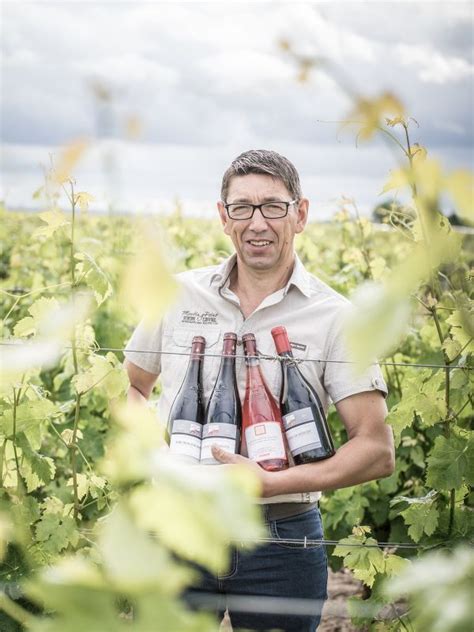 Domaine De La Barroni Re Vignoble Saint Nicolas De Bourgueil