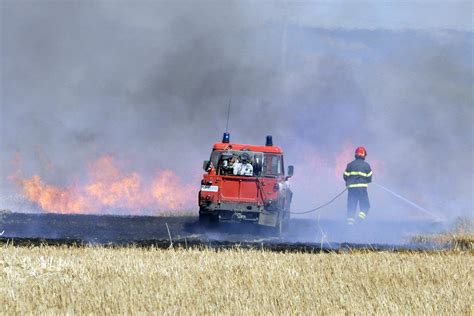 Ancora Incendi Nel Grossetano Fiamme Nei Boschi Di Principina E Ci