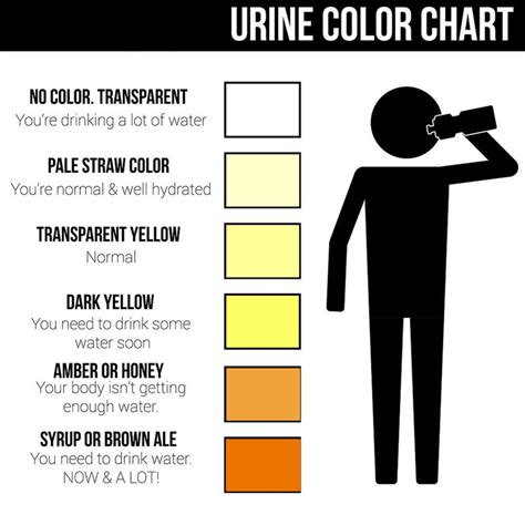 Check Your Urine Colour Colourchat Are You Hydrated Cflo Urine Color