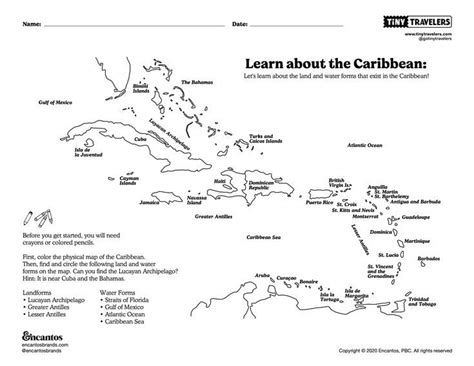 The Caribbean: Geography & Animals Coloring Sheet | History worksheets, Social studies middle ...