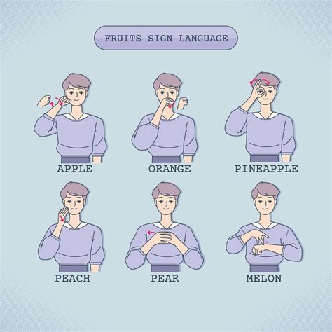 Learn Fruits Sign Language 12433928 Vector Art At Vecteezy