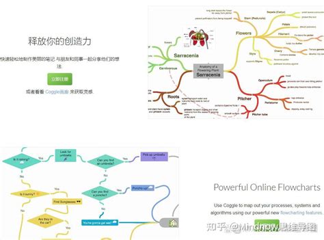 免费思维导图软件哪个好？推荐以下几款 知乎