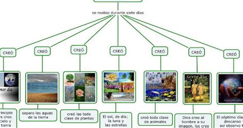 Los 7 días de la creación de Dios: La Creación según la Biblia