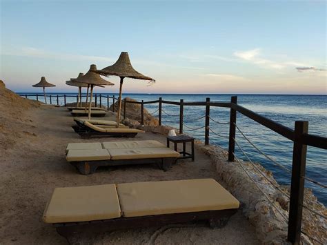 Sharm Resort Hotel Pool: Pictures & Reviews - Tripadvisor