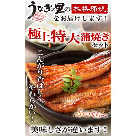 ポイント5倍 ギフト うなぎ 蒲焼き 国産 プレゼント 鹿児島産 ブランド鰻 極上特大蒲焼き5本 ギフトbox グルメ 送料無料 クール