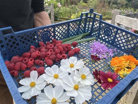 Le plus beau de France le potager Colbert se visite à Maulévrier La