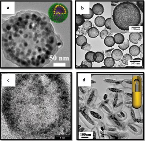 Tem Images Of Different Capsule Systems With Functional Nanoparticles