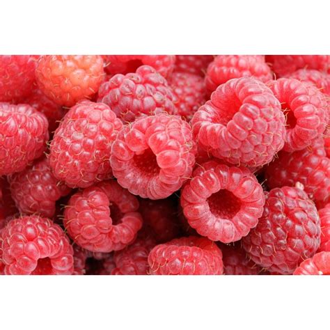 Raspberry Fruit Seeds