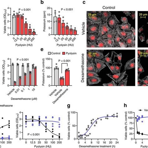 Dexamethasone Protects Several Types Of Cells Against Pyolysin A A