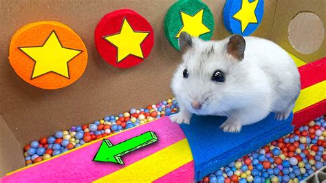 🌈 Diy Hamster Maze With Colorful Balloons 🐹 Epic Trap For Pets In Real