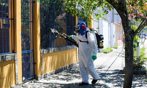 Sobe para 17 o número de mortes por dengue em São Paulo Jovem Pan