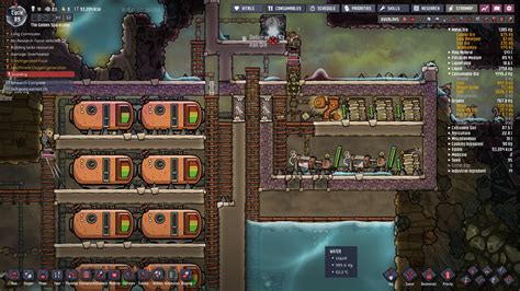 Review Oxygen Not Included