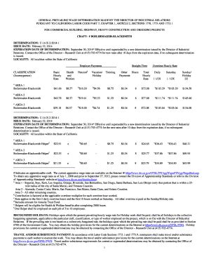 Fillable Online DETERMINATION C14X220141 Fax Email Print PdfFiller