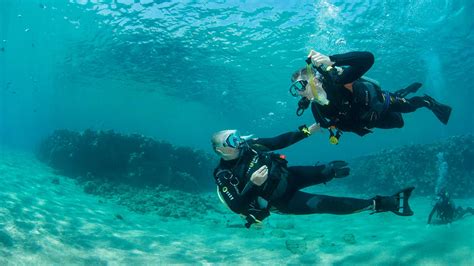 Elite Diving Dive With The Best Award Winning Red Sea Padi 5 Star Dive Centre In Sharm El