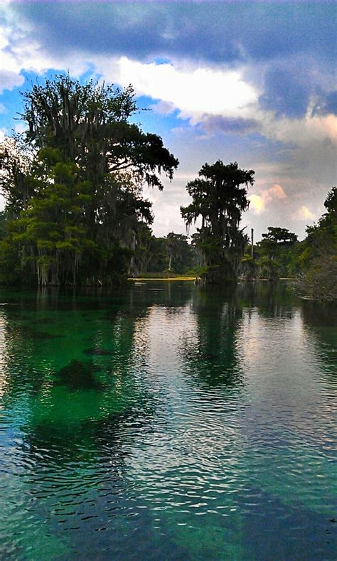 Wakulla River Tallahassee Floridait S A Part Of The Big Bend Seagrasses Aquatic Preserve So