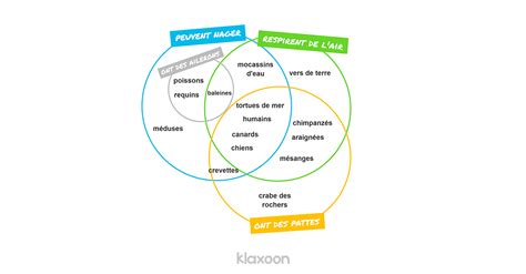 Diagramme de Venn faites des liens efficaces entre les éléments