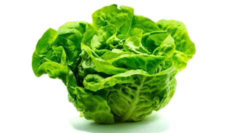 Lechuga Estas Son Sus Propiedades Medicinales