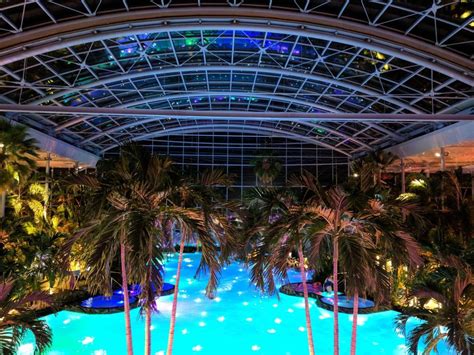 An Indoor Swimming Pool Surrounded By Palm Trees And Other Tropical Plants At Night Time With