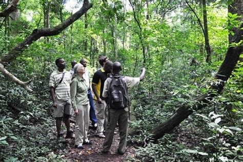 Ngel Nyaki Forest Reserve Download Scientific Diagram