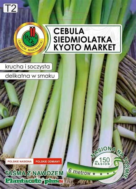 Cebula siedmiolatka na taśmie KYOTO MARKET 7m Polskie nasiona w UK