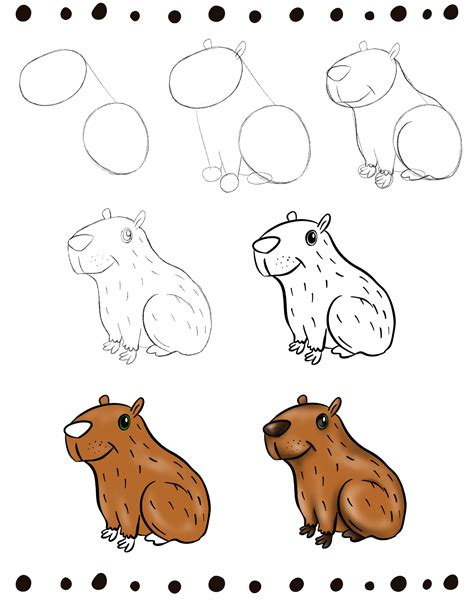 Capybara Drawing Ideas And Easy Step By Step Tutorials Glory Of The Snow