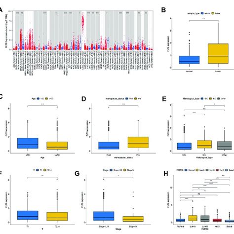 Correlation Of Dna Methylation Level With Flt Expression And Clinical