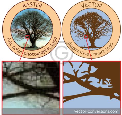 Raster (Bitmap) vs Vector