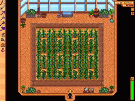 Ancient fruit greenhouse : r/StardewValley