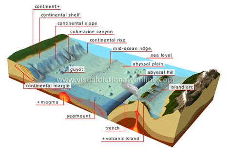 EARTH :: GEOLOGY :: OCEAN FLOOR image - Visual Dictionary Online